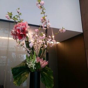 Meet your Posher, Tom